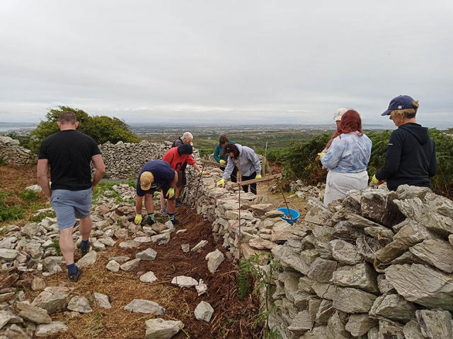 Volunteers rebuilding the drystone wall