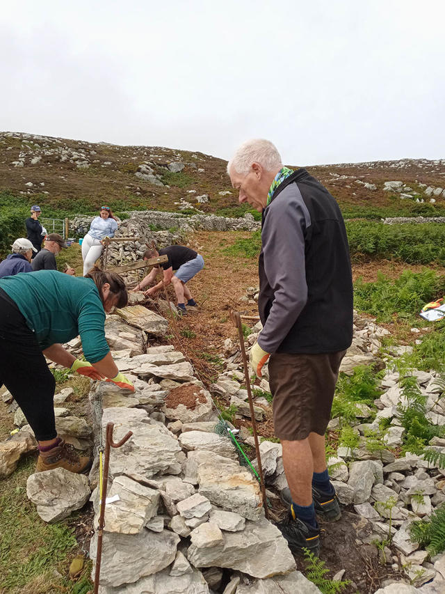 Volunteers rebuilding the drystone wall