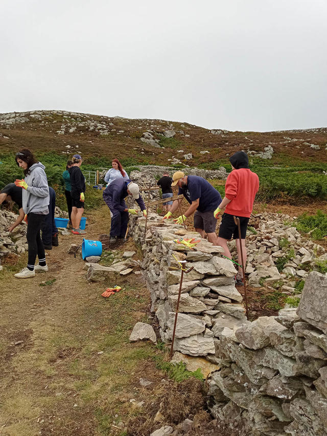 Volunteers rebuilding the drystone wall