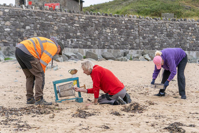 Volunteers looking for nurdles and small plastic on the beach