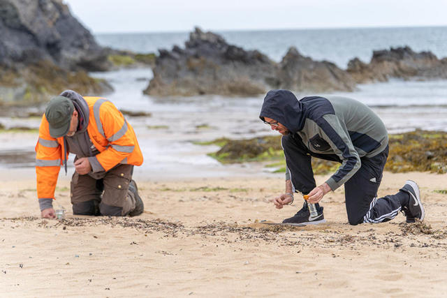 Volunteers looking for nurdles and small plastic on the beach