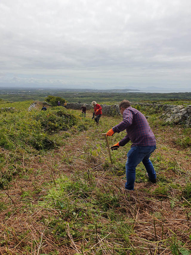 Volunteers using scythes to clear bracken and overgrowth