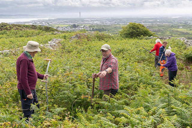 Volunteers using scythes to clear bracken and overgrowth