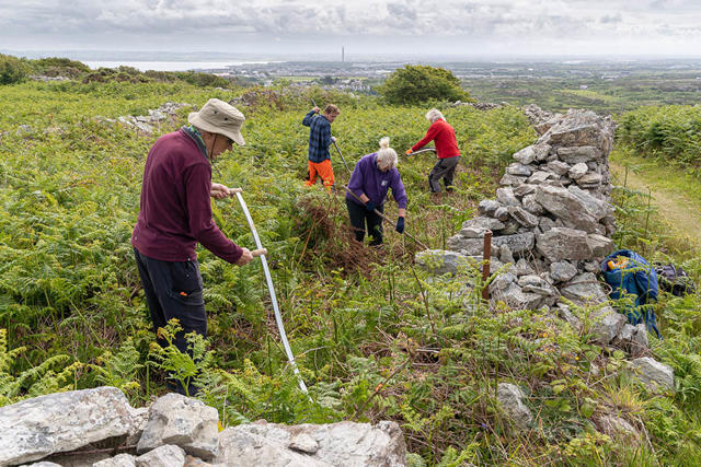 Volunteers using scythes to clear bracken and overgrowth