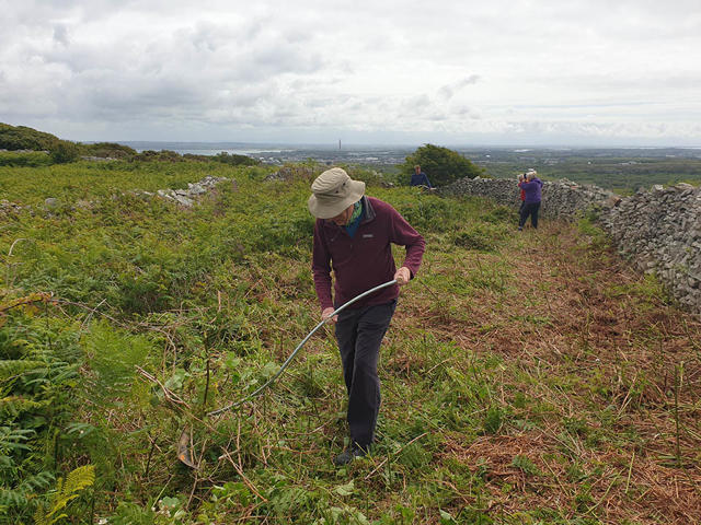 Volunteers using scythes to clear bracken and overgrowth