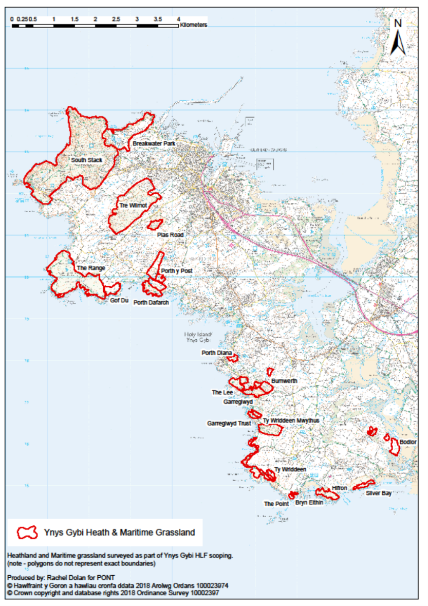 Project 1 - Map