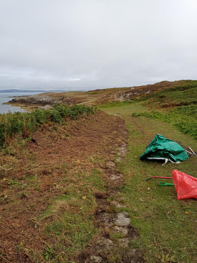 Footpath cleared of bracken and overgrowth