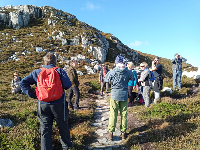 Kehoe Countryside discussing the biodiversity of Holyhead Mountain