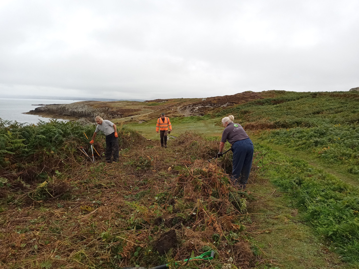 Volunteers clearing the path at the Rocky Coast, Breakwater Park