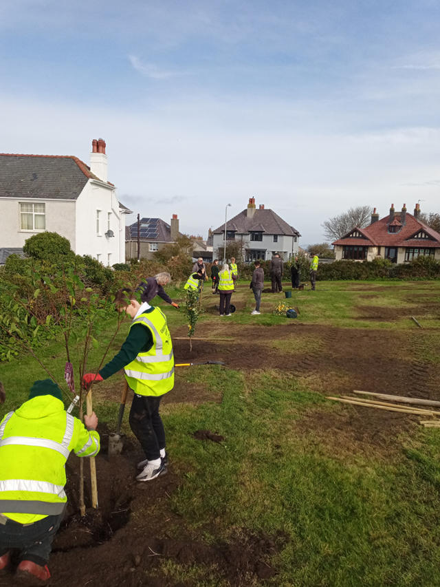 Volunteers planting fruit trees