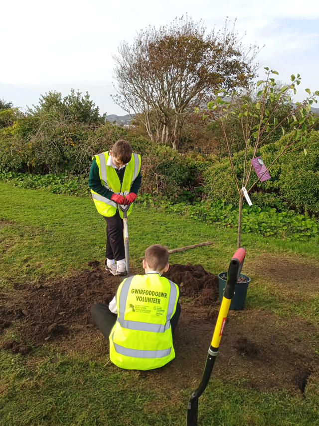 Volunteers planting fruit trees