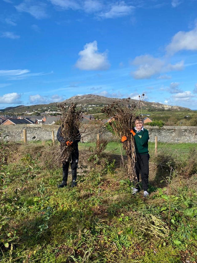 School pupils volunteering at The Tiny Forest