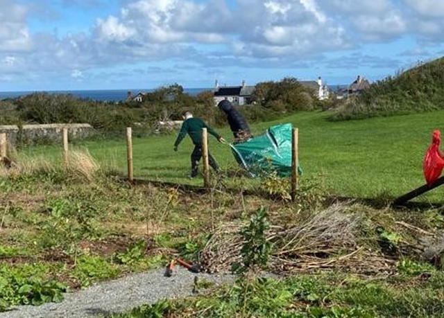 Preparing the Tiny Forest for winter by removing weeds