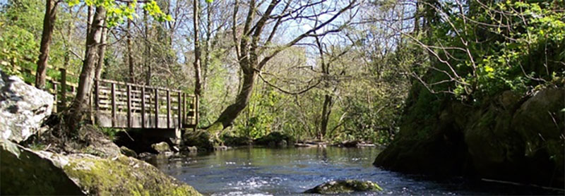 Nant y Pandy Llangefni