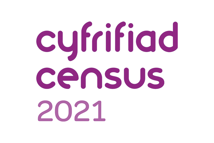 Census 2021 logo