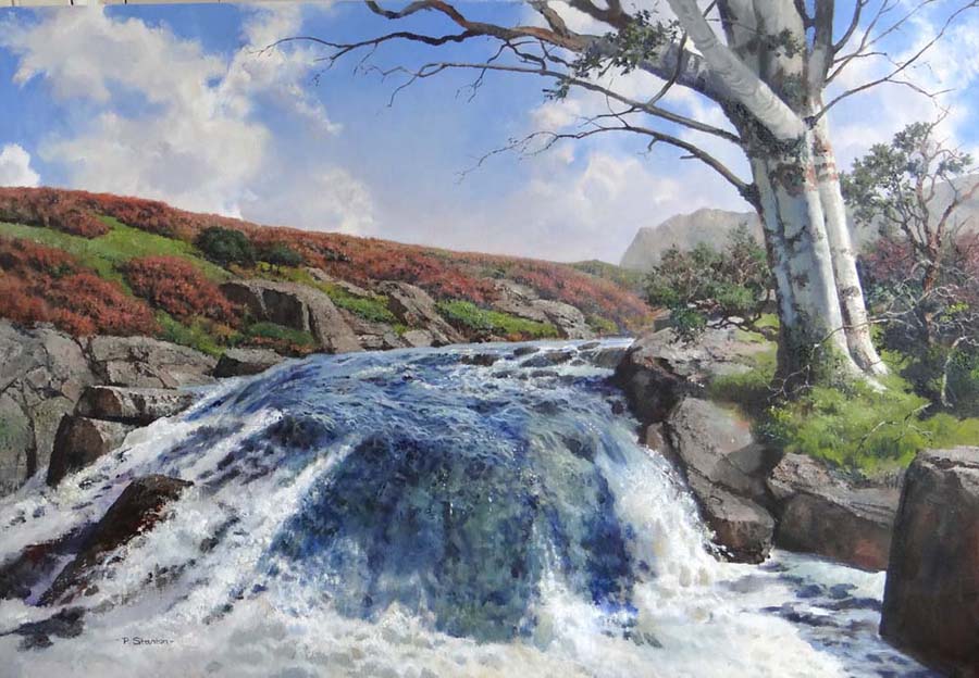 N.W.S.F.A - IMAGE - Philip Stanton