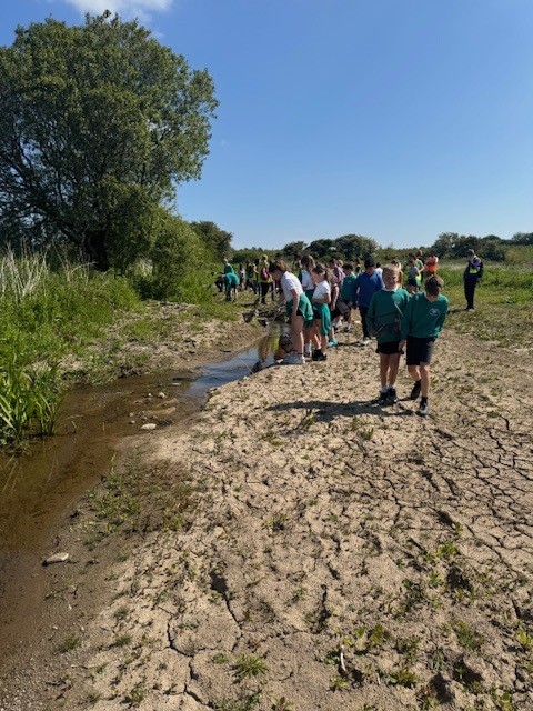 School children visiting a former landfill site at Penhesgyn to see the flourishing wildlife
