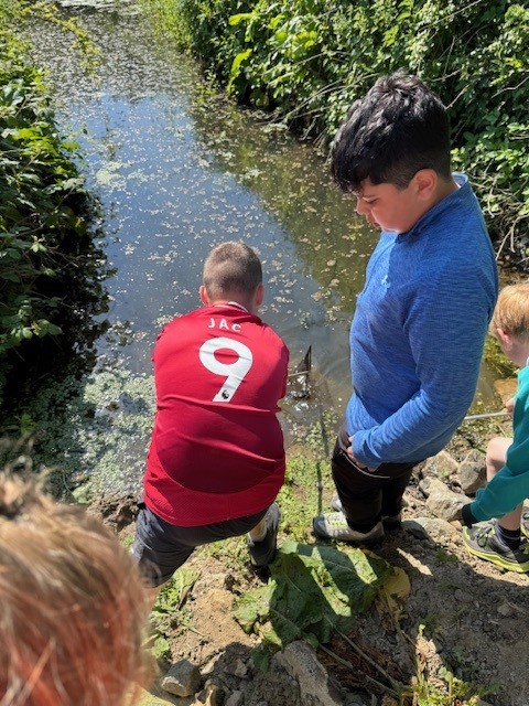 School children visiting a former landfill site at Penhesgyn to see the flourishing wildlife