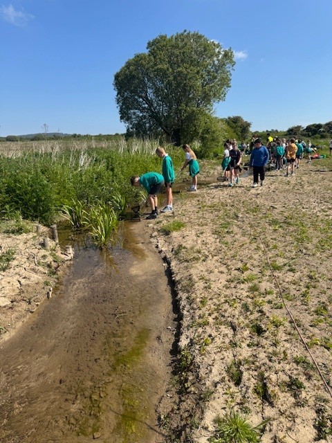 School children visiting a former landfill site at Penhesgyn to see the flourishing wildlife
