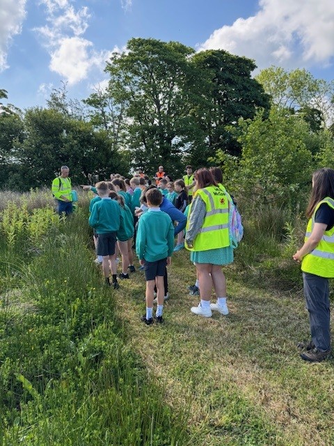 School children visiting a former landfill site at Penhesgyn to see the flourishing wildlife